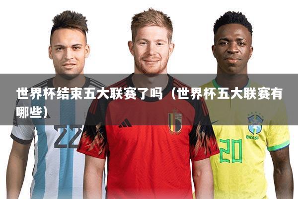 世界杯结束五大联赛了吗（世界杯五大联赛有哪些）