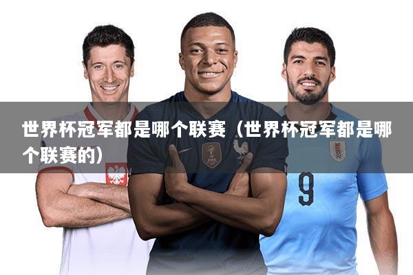 世界杯冠军都是哪个联赛（世界杯冠军都是哪个联赛的）