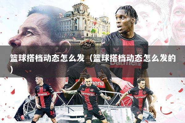 篮球搭档动态怎么发(篮球搭档动态怎么发的)