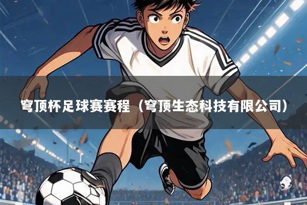 穹顶杯足球赛赛程(穹顶生态科技有限公司)