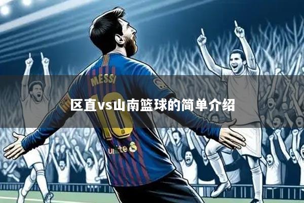 区直vs山南篮球的简单介绍