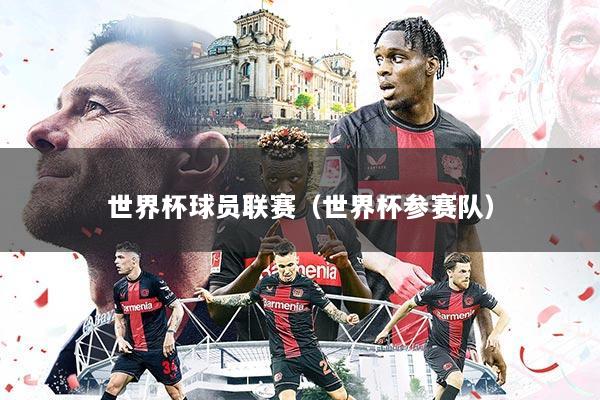世界杯球员联赛（世界杯参赛队）