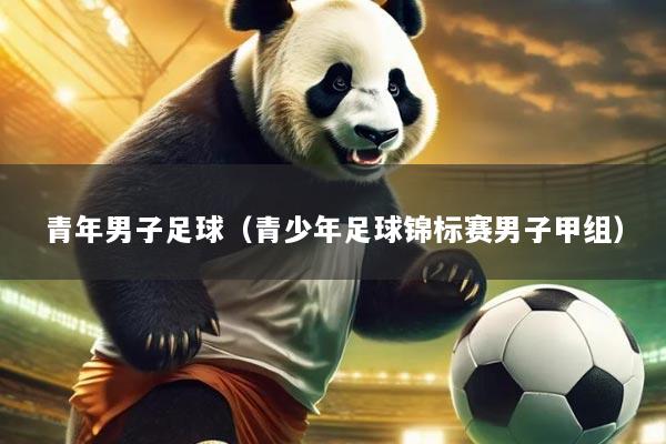 青年男子足球(青少年足球锦标赛男子甲组)