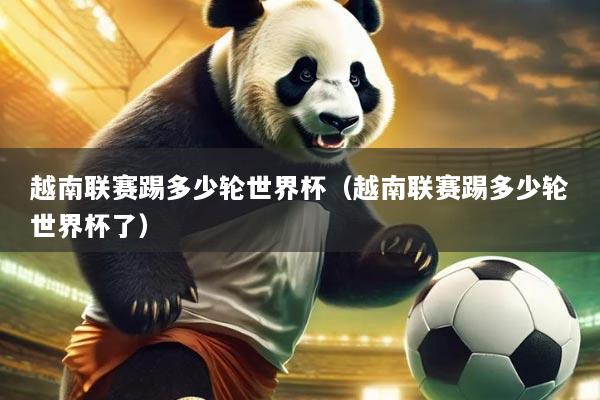 越南联赛踢多少轮世界杯(越南联赛踢多少轮世界杯了)