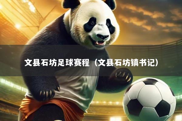 文县石坊足球赛程(文县石坊镇书记)