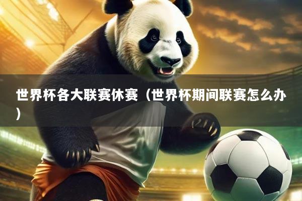 世界杯各大联赛休赛(世界杯期间联赛怎么办)