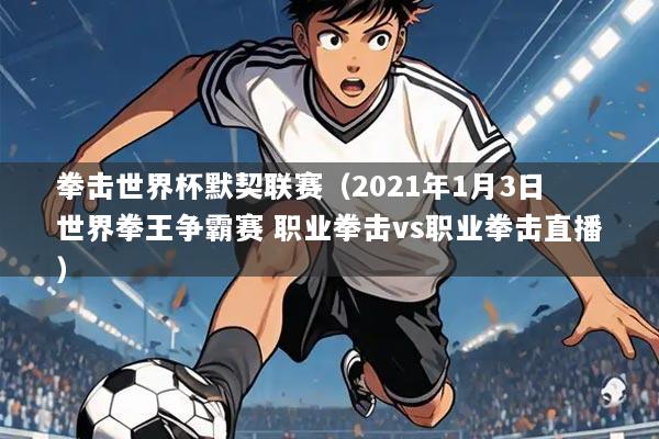 拳击世界杯默契联赛（2021年1月3日 世界拳王争霸赛 职业拳击vs职业拳击直播）