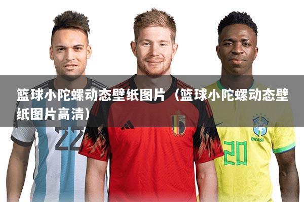 篮球小陀螺动态壁纸图片（篮球小陀螺动态壁纸图片高清）