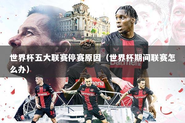 世界杯五大联赛停赛原因(世界杯期间联赛怎么办)